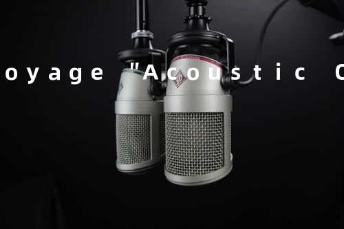 Voyage ″Acoustic Orchestra Version″