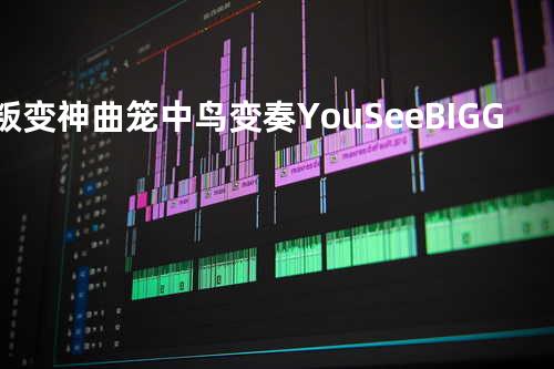 1.叛变神曲 笼中鸟变奏 YouSeeBIGGIRLTT(Av373985965,P1)