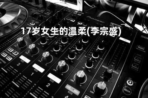 17岁女生的温柔(李宗盛)