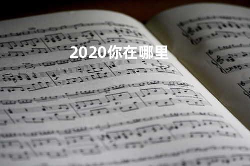 2020你在哪里