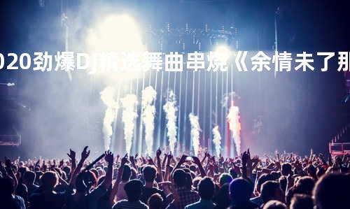 2020劲爆DJ精选舞曲串烧《余情未了-那一刻是你-想你的情歌》