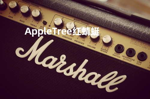 Apple Tree + 红蜻蜓