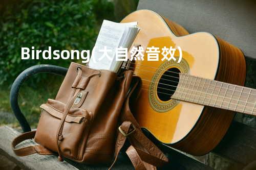 Birdsong(大自然音效)
