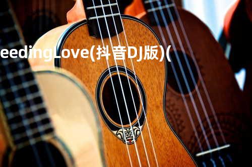 Bleeding Love (抖音DJ版) (翻自 Leona Lewis)