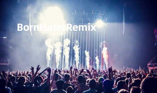 Born Hater Remix