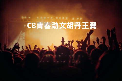 C8青春-劲文 胡丹 王翼
