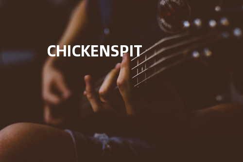 CHICKEN SPIT