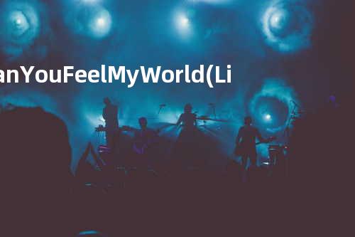 Can You Feel My World(Live)