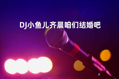 DJ小鱼儿 - 齐晨-咱们结婚吧