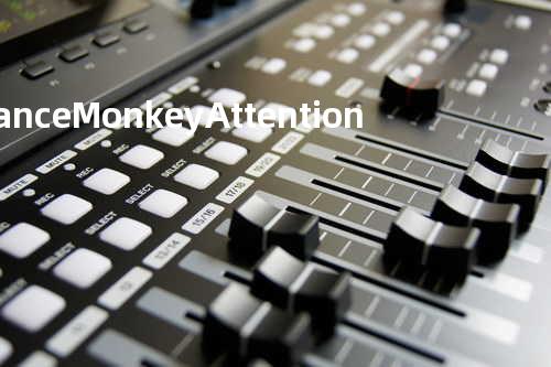 Dance Monkey+Attention (Busking Ver.)