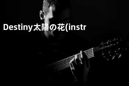 Destiny -太陽の花-(instr