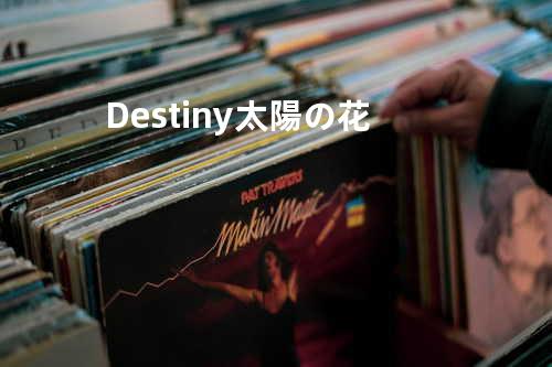 Destiny -太陽の花-