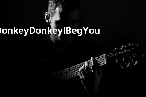 Donkey Donkey I Beg You