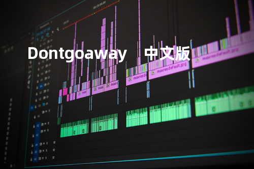 Don t go away 中文版