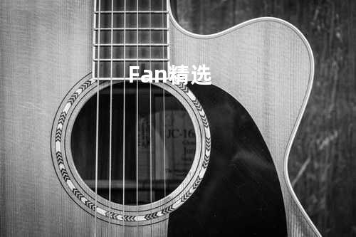 Fan精选