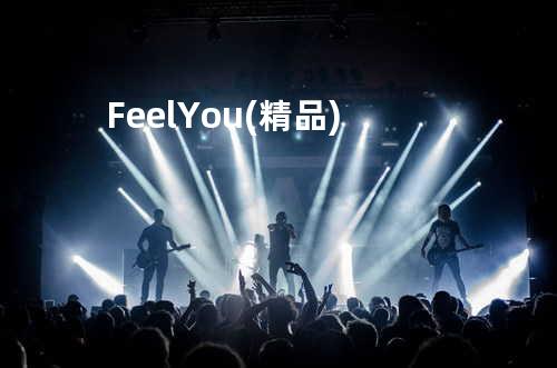 Feel You(精品)