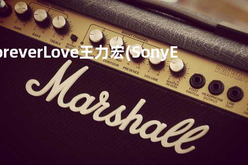 Forever Love - 王力宏 (Sony Ericsson手机广告曲)