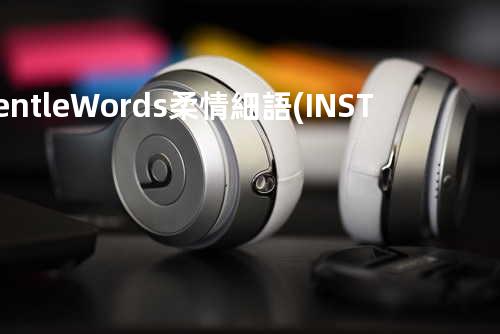 Gentle Words 柔情細語 (INSTRUMENTAL)
