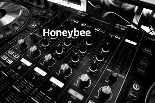 Honeybee