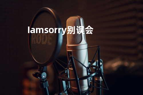 I am sorry 别误会