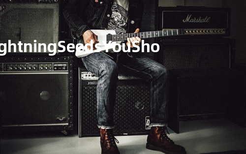 Lightning Seeds - You Showed Me