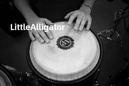 Little Alligator