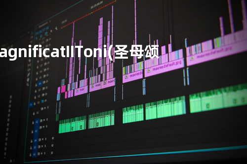 Magnificat II. Toni (圣母颂歌纯音乐)