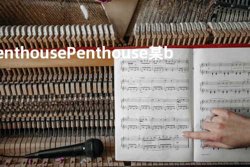 Penthouse Penthouse-某biang事了(蓝木木 remix)