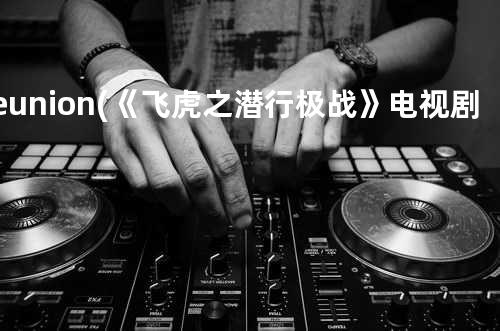 Reunion (《飞虎之潜行极战》电视剧主题曲)