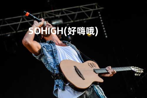 SO HIGH(好嗨哦)