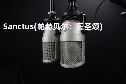 Sanctus (帕赫贝尔:三圣颂)