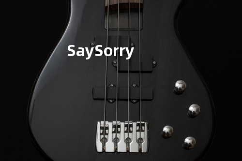 Say Sorry
