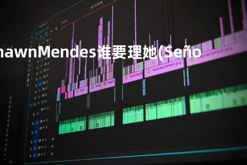 Shawn Mendes-谁要理她 (Señorita REMIX)(O.WEN remix)