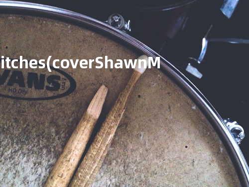 Stitches (cover: Shawn Mendes)