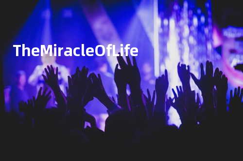 The Miracle Of Life