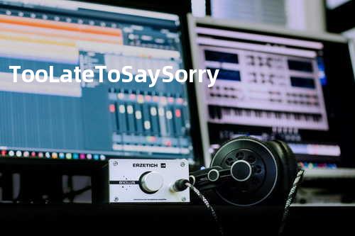 Too Late To Say Sorry