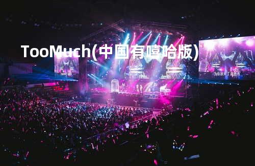 Too Much(中国有嘻哈版)