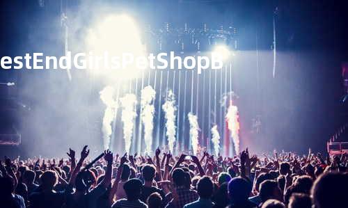 West End Girls - Pet Shop Boys