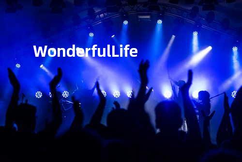 Wonderful Life