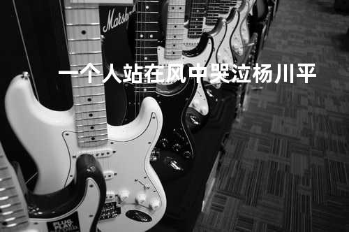 一个人站在风中哭泣 - 杨川平