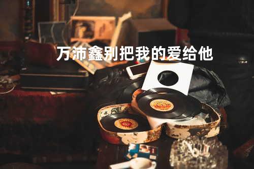 万沛鑫 - 别把我的爱给他