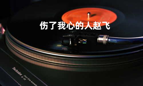 伤了我心的人 - 赵飞