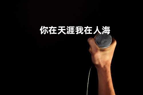 你在天涯我在人海