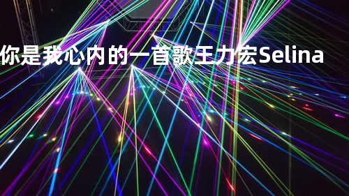 你是我心内的一首歌 - 王力宏/Selina