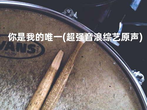 你是我的唯一(超强音浪综艺原声)