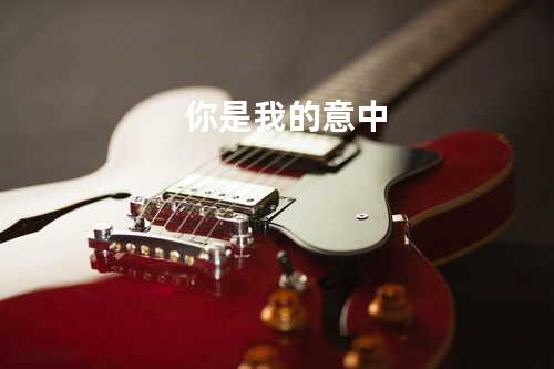 你是我的意中