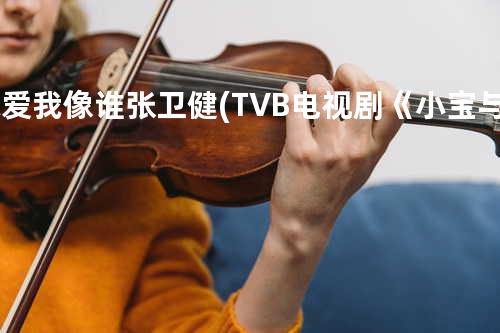 你爱我像谁 - 张卫健 (TVB电视剧《小宝与康熙》主题曲)