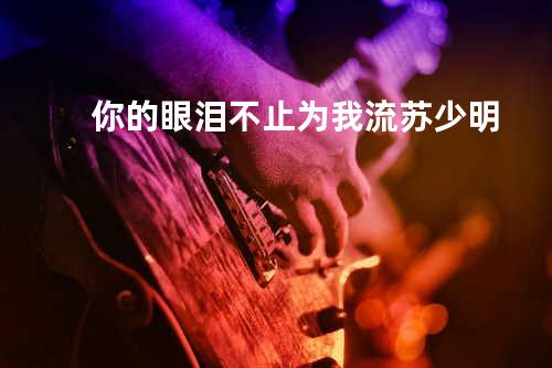 你的眼泪不止为我流 - 苏少明