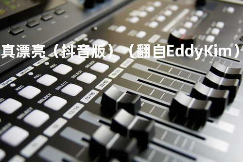 你真漂亮(抖音版)(翻自 Eddy Kim)