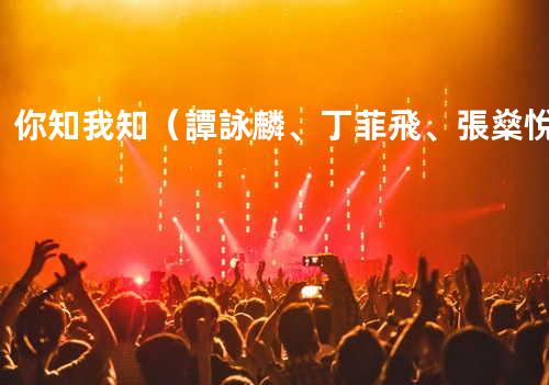 你知我知(譚詠麟、丁菲飛、張燊悅)